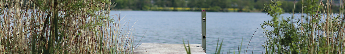 Bannerbild