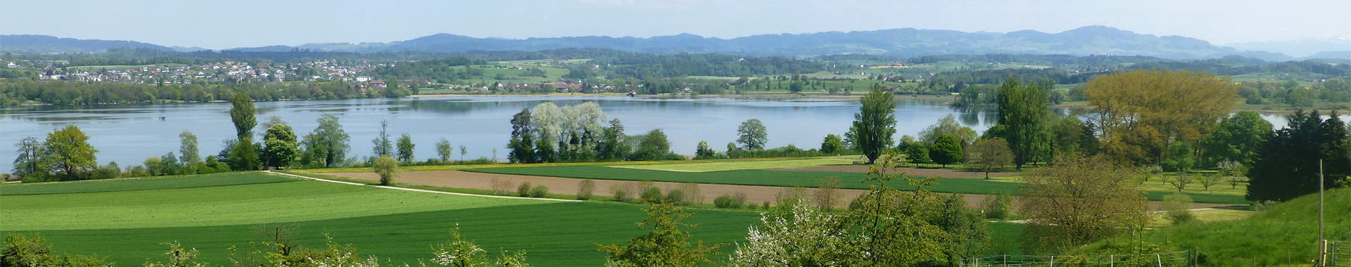 Bannerbild