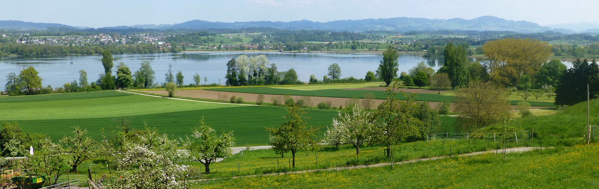 Bannerbild